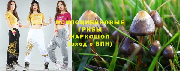 МДМА Заводоуковск