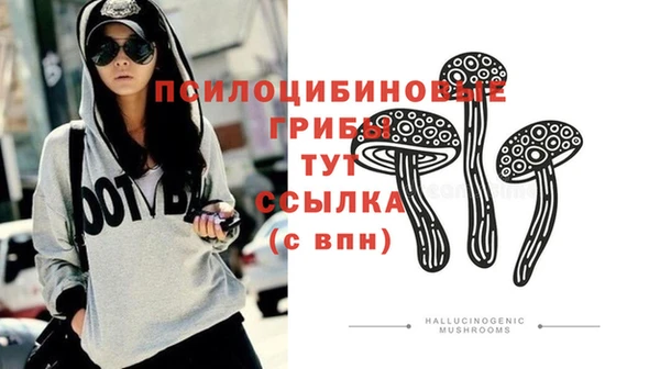 МДМА Заводоуковск