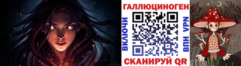 Купить где  Среднеуральск  Псилоцибиновые грибы Cubensis 